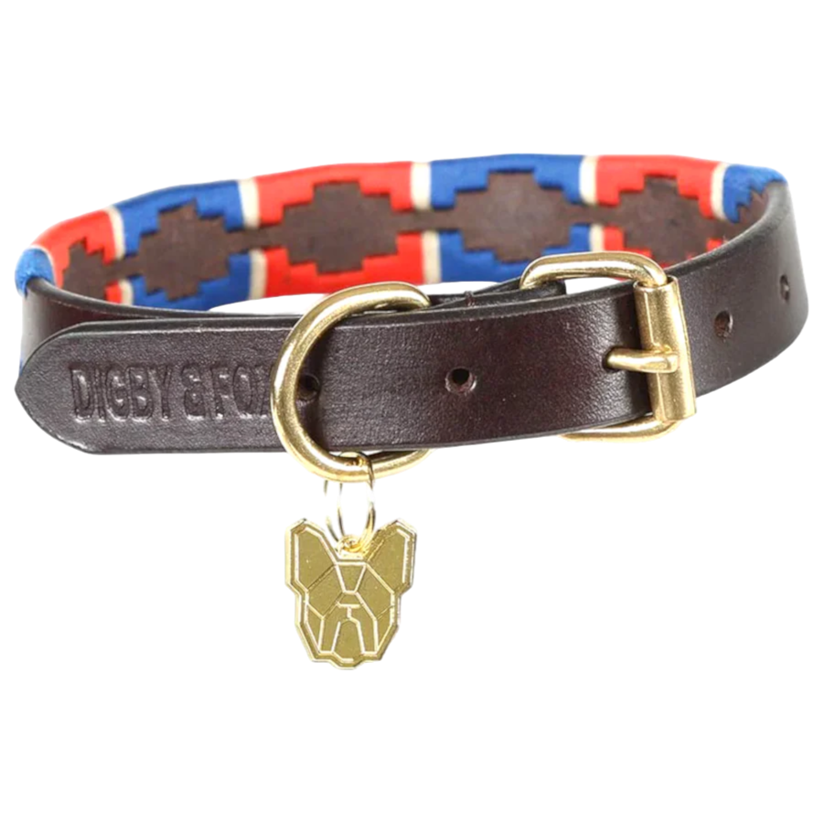 Digby & Fox Drover Collar - navy/red