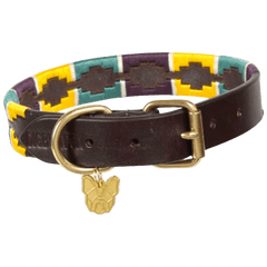 Digby & Fox Drover Collar - Yellow/Green/purple