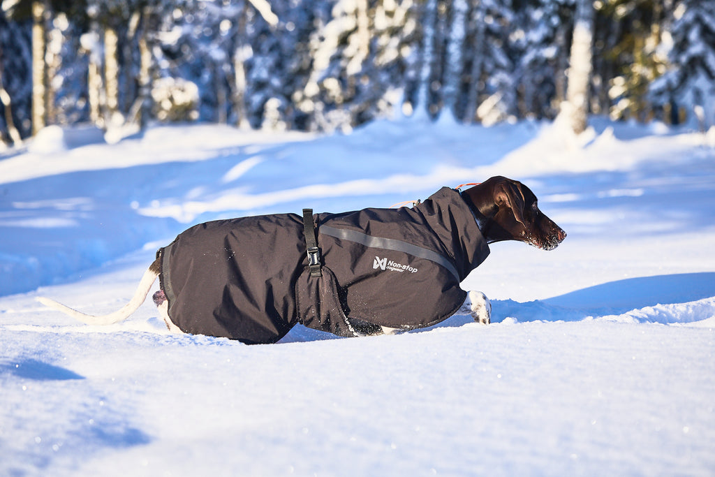 Non-stop dogwear Trekking Insulated Dog Jacket