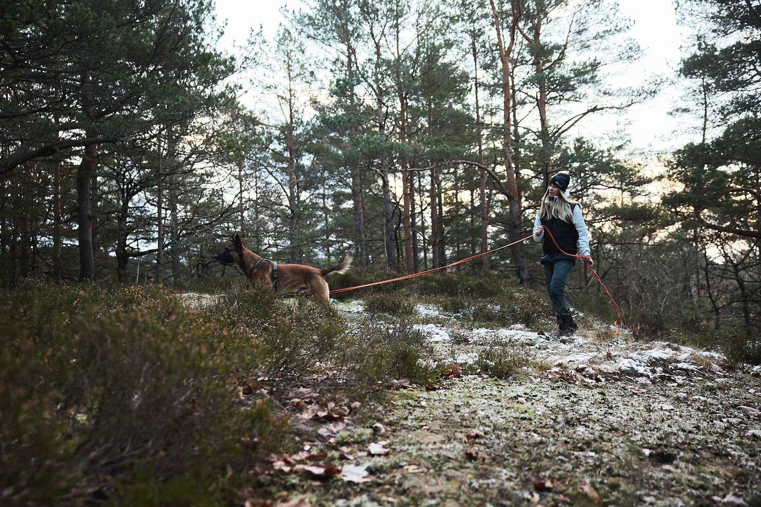 non-stop dogwear friction long line