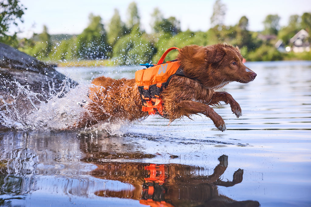 Non-stop dogwear Protector life jacket - Life Jacket for Dogs