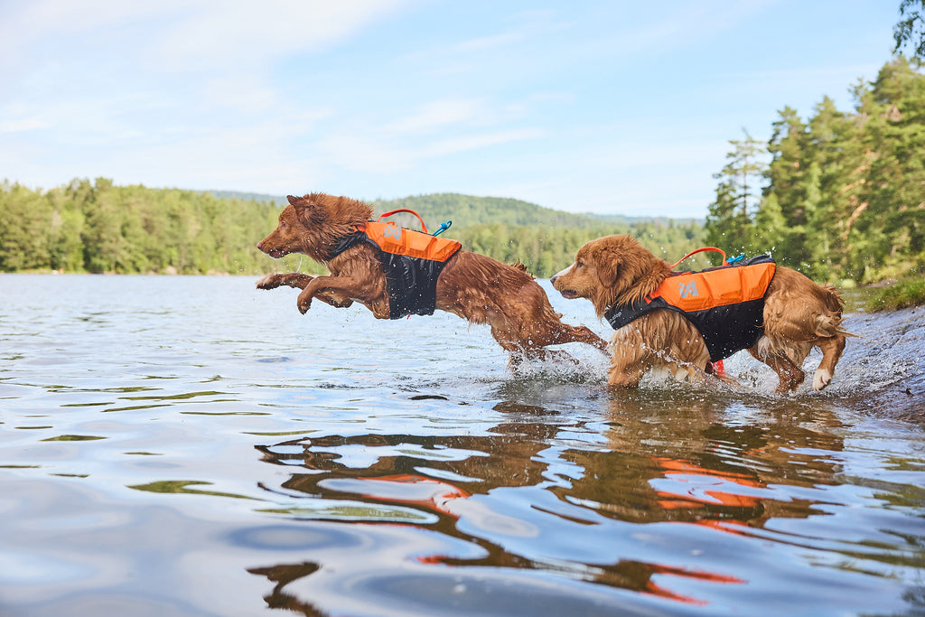 Non-stop dogwear Protector life jacket - Life Jacket for Dogs