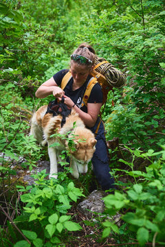 Non-stop dogwear Rock Harness Long - Long Dog Harness