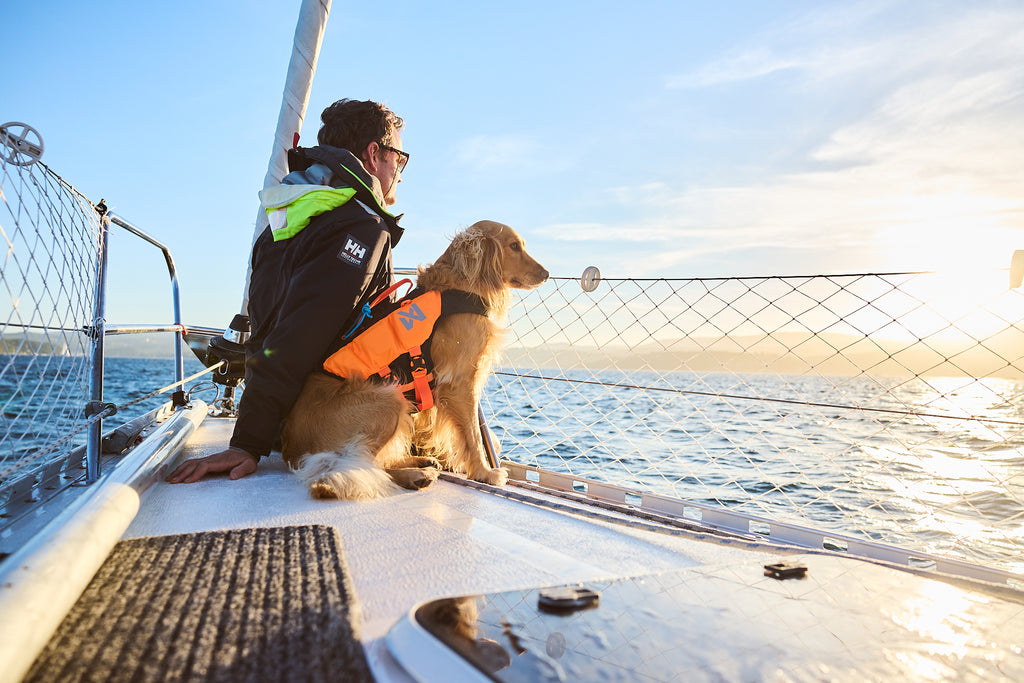 Non-stop dogwear Protector life jacket - Life Jacket for Dogs