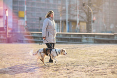 Non-stop dogwear Rock Harness Long - Long Dog Harness