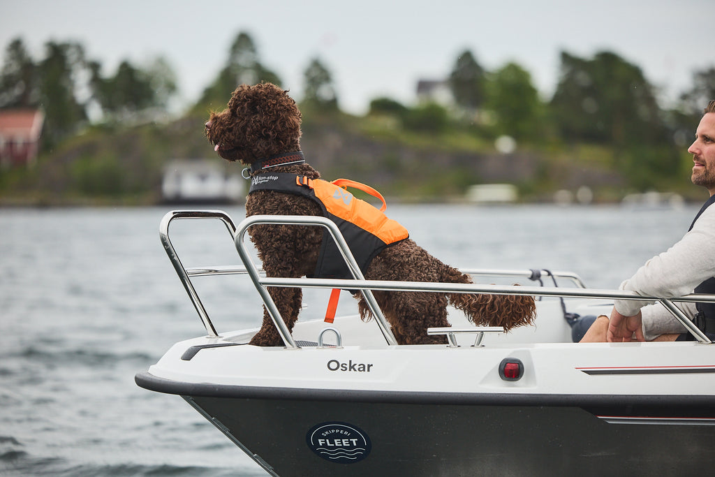 Non-stop dogwear Protector life jacket - Life Jacket for Dogs