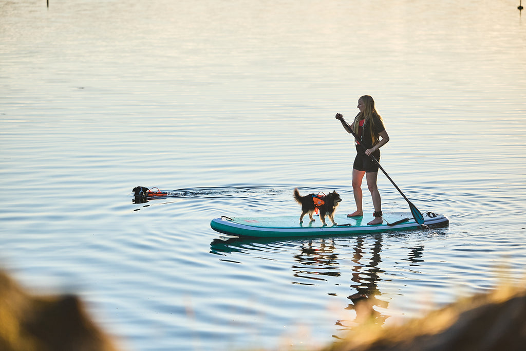 Non-stop dogwear Protector life jacket - Life Jacket for Dogs