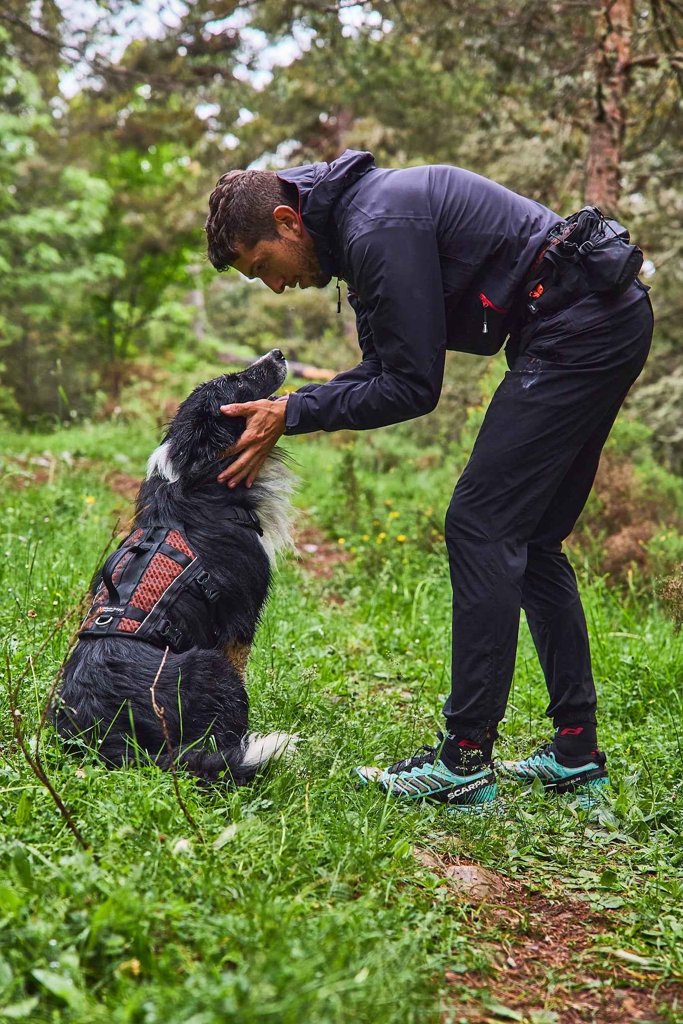 Non-stop dogwear Rock Harness Long - Long Dog Harness