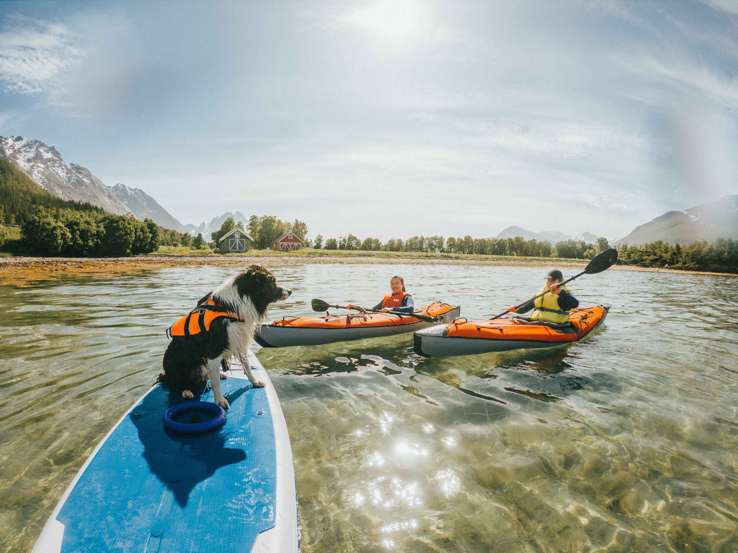 Non-stop dogwear Safe Life Jacket 2.0 - Life Jacket for Dogs