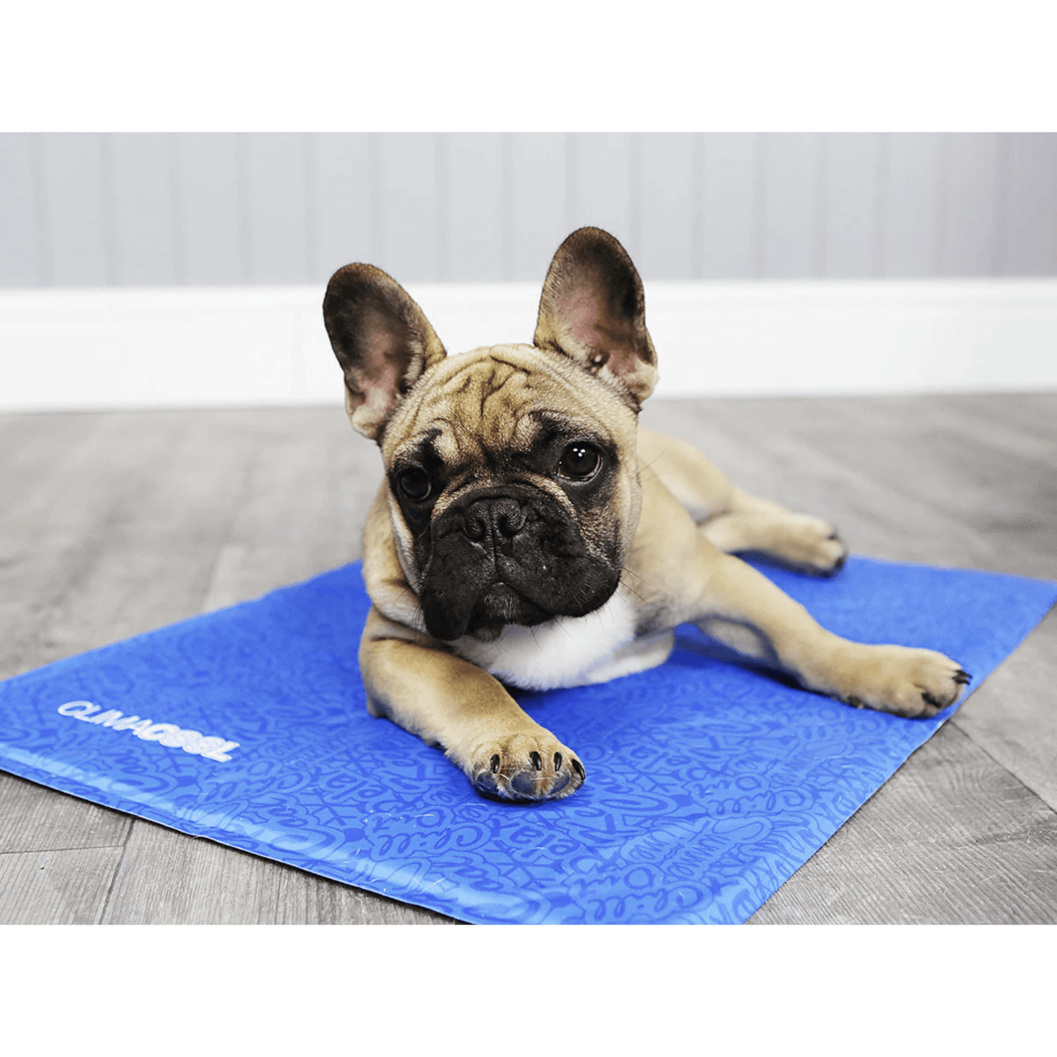 French Bulldog lying on George Barclay ClimaCOOL Self Cooling Dog Mat, providing comfort and temperature regulation on hard floors.