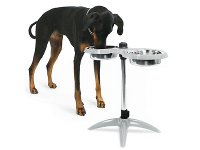 George Barclay Height Adjustable Double Feeding Dog Bowl