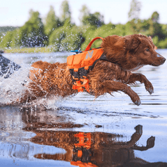 Non-stop dogwear Protector life jacket - Life Jacket for Dogs