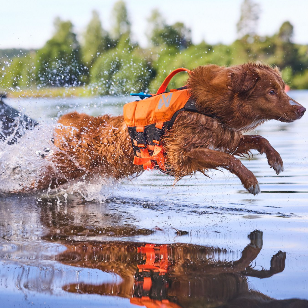 Non-stop dogwear Protector life jacket - Life Jacket for Dogs