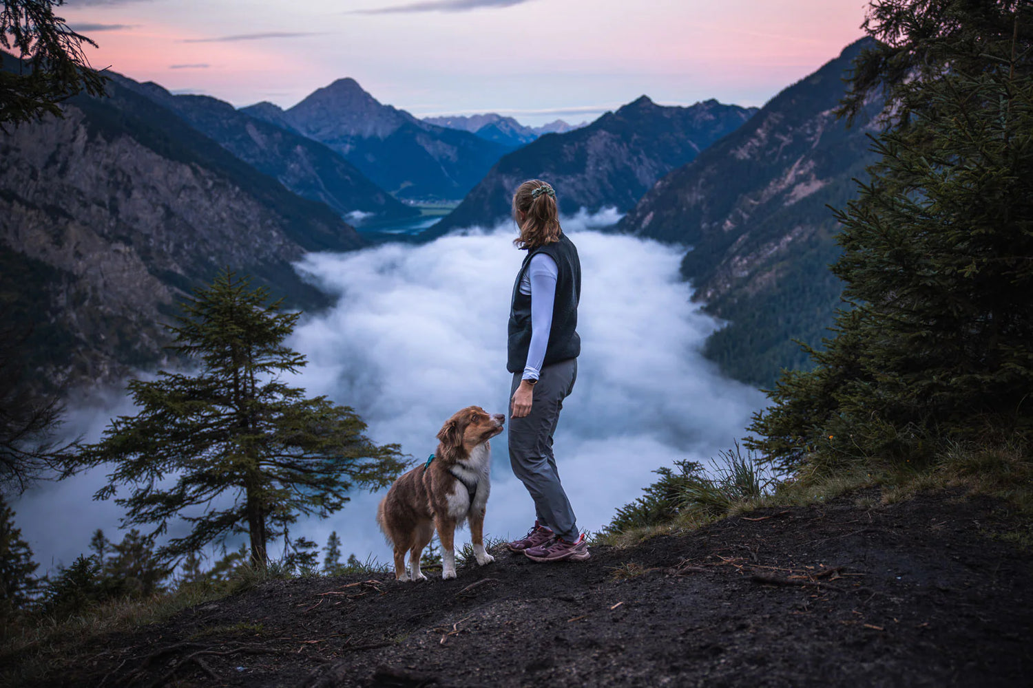 Non-stop dogwear Trail Quest Pants Women’s