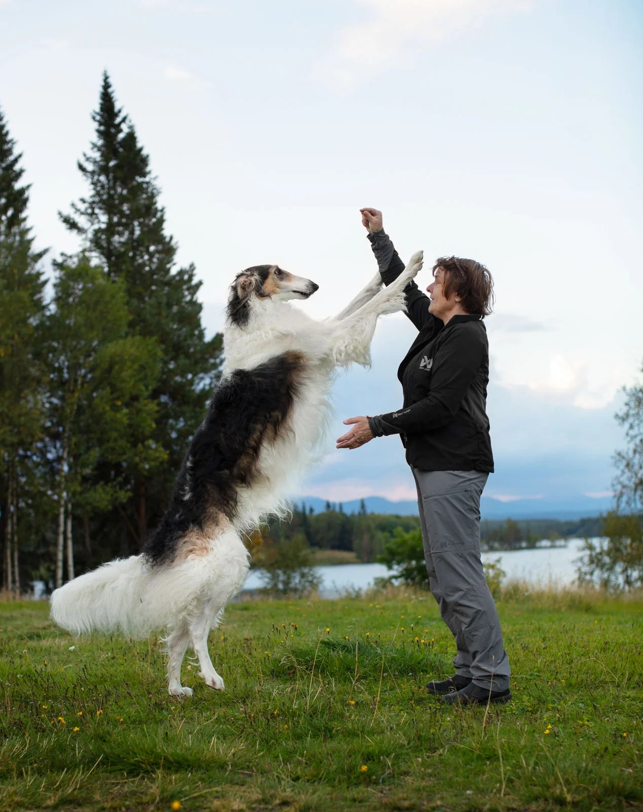 Non-stop dogwear Trail Quest Pants Women’s