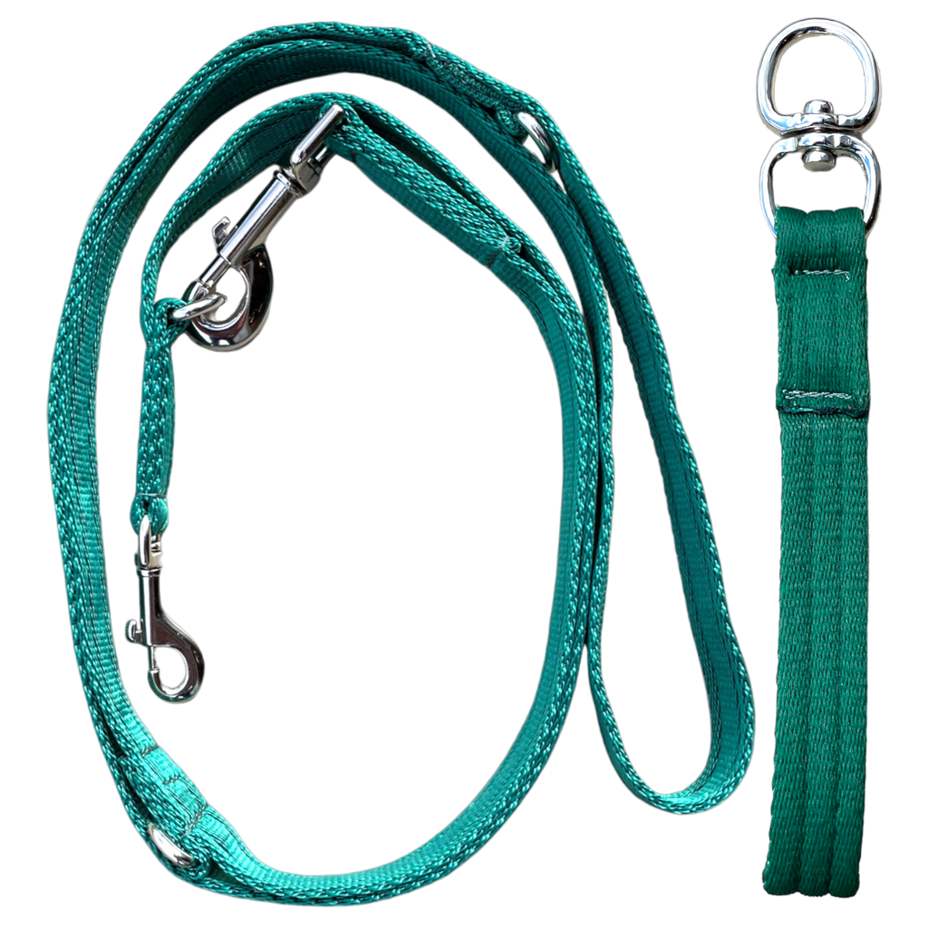 Double Ended Dog Lead With Sliding Swivel Handle - Green