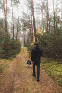 Person walking a dog on a path through a forest
