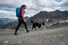 Non-stop dogwear line harness 5.0