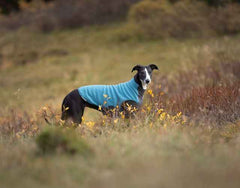 Trail quest fleece pullover - Non-stop dogwear on black dog