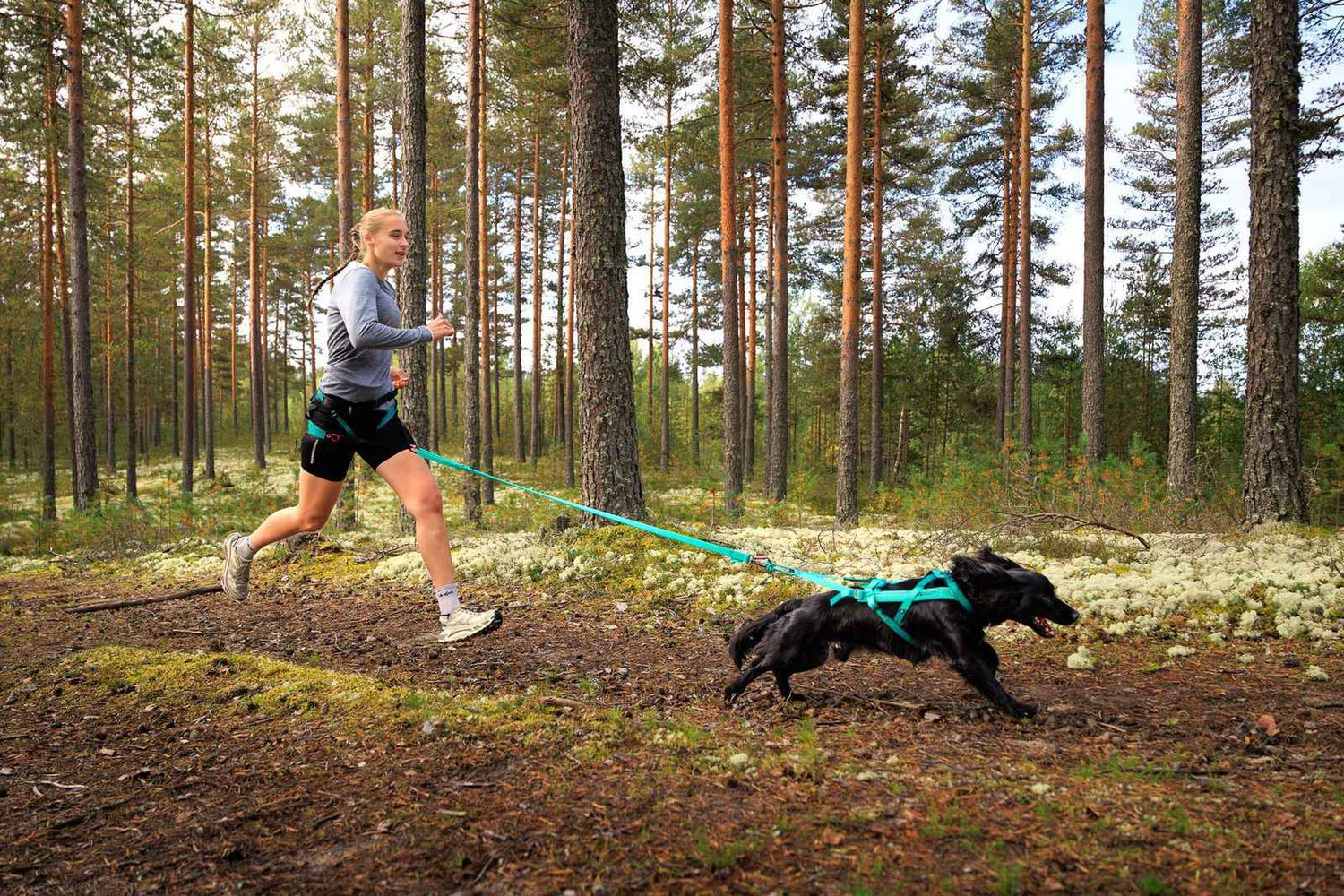 Woman running in forest with dog using Aqua Non-stop Dogwear Bungee Leash, ideal for canicross and outdoor adventures with shock absorption.