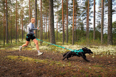 Woman running in forest with dog using Aqua Non-stop Dogwear Bungee Leash, ideal for canicross and outdoor adventures with shock absorption.