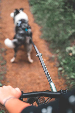 Cyclist using the Non-stop dogwear Bike Antenna on a trail, with the leash held securely above the front wheel for smooth dog-powered riding.