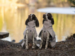 Two dogs wearing Non-stop dogwear Drying Coats sit by a lake, showcasing the robe's snug fit and moisture-wicking design for outdoor use.
