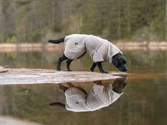 Black Labrador in Non-stop dogwear Drying Coat walks near water, highlighting the coat’s absorbent fabric and travel towel functionality.