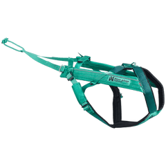 Non-Stop dogwear Freemotion harness 5.0 aqua canicross harness