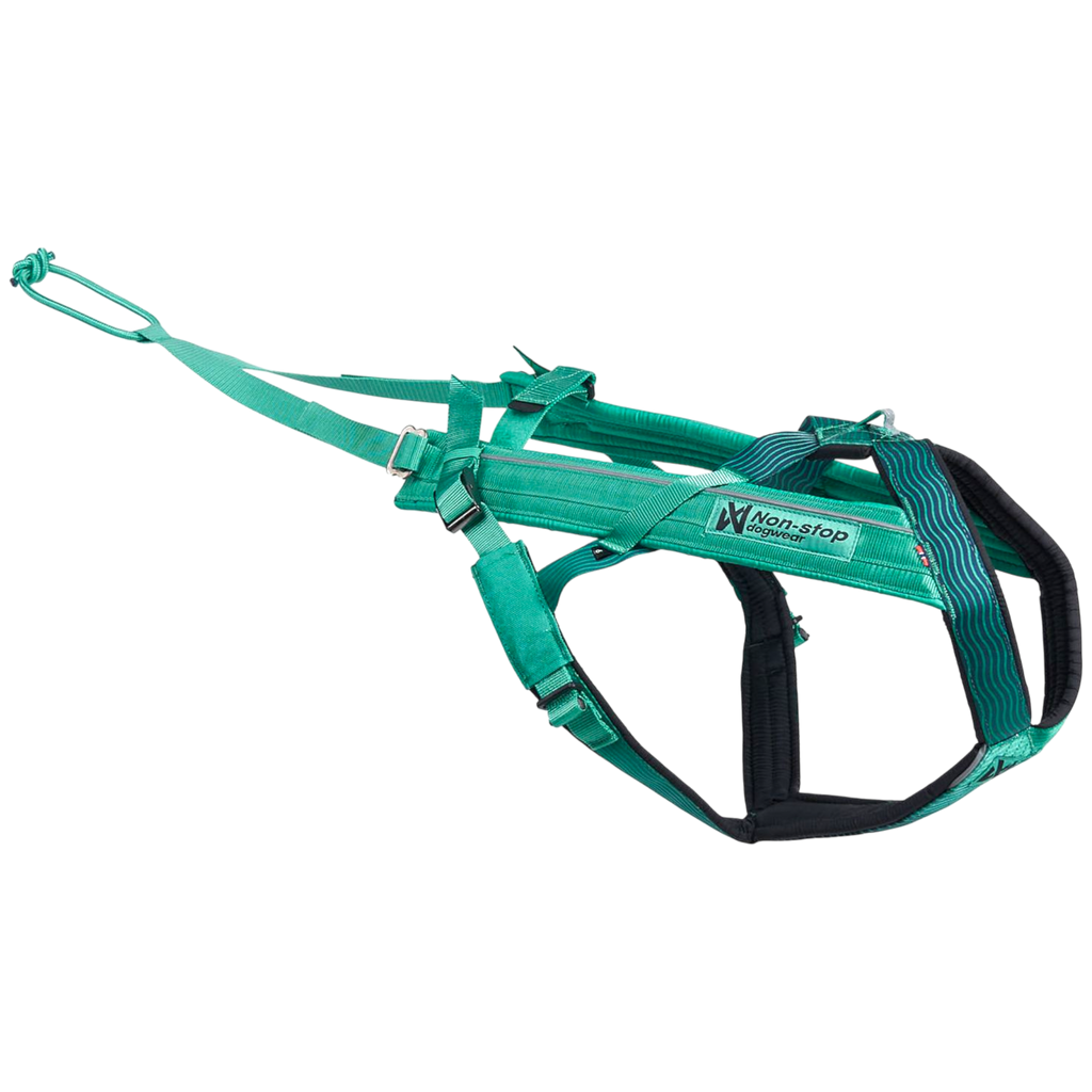 Non-Stop dogwear Freemotion harness 5.0 aqua canicross harness