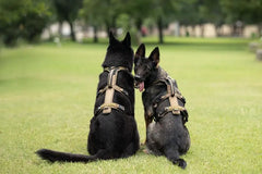 Non-stop dogwear line harness long WD