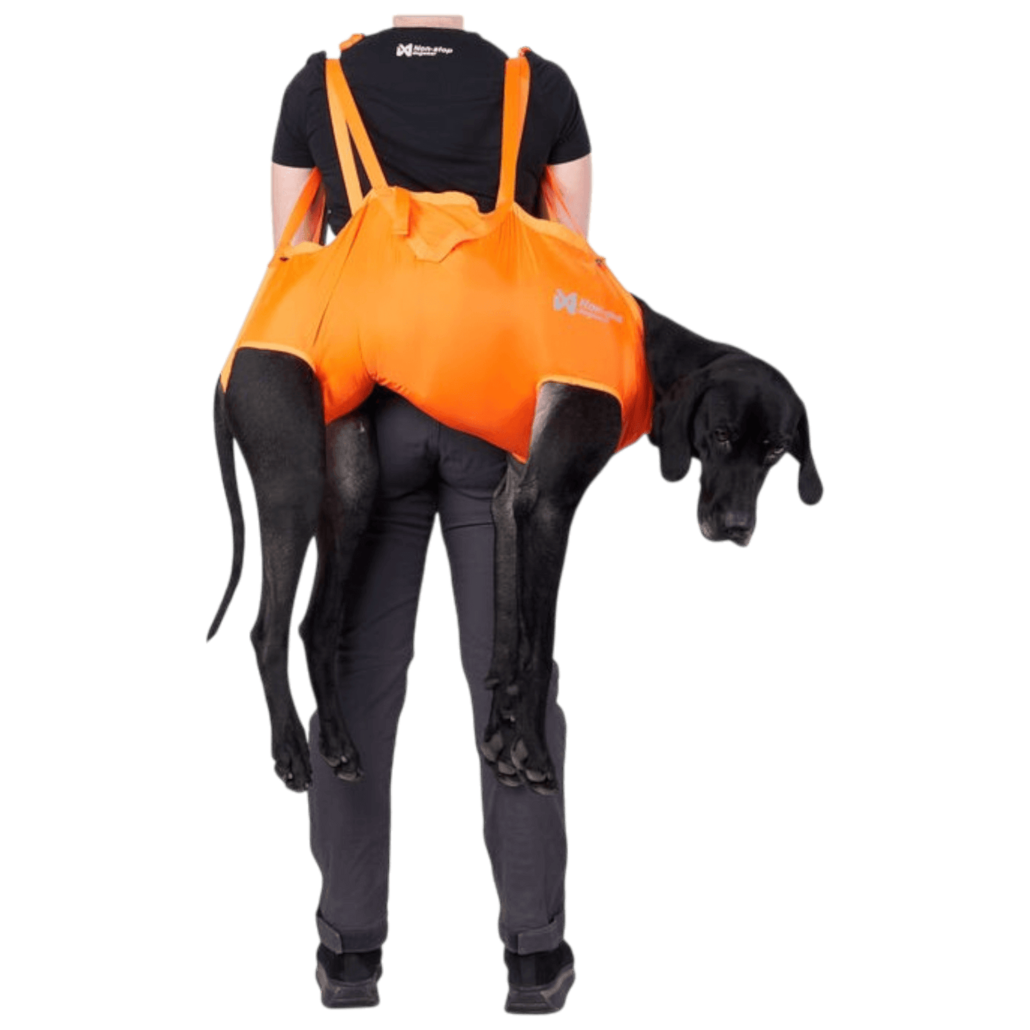 Person carrying a black dog in an orange Non-stop dogwear rescue sling - dog rescue sling