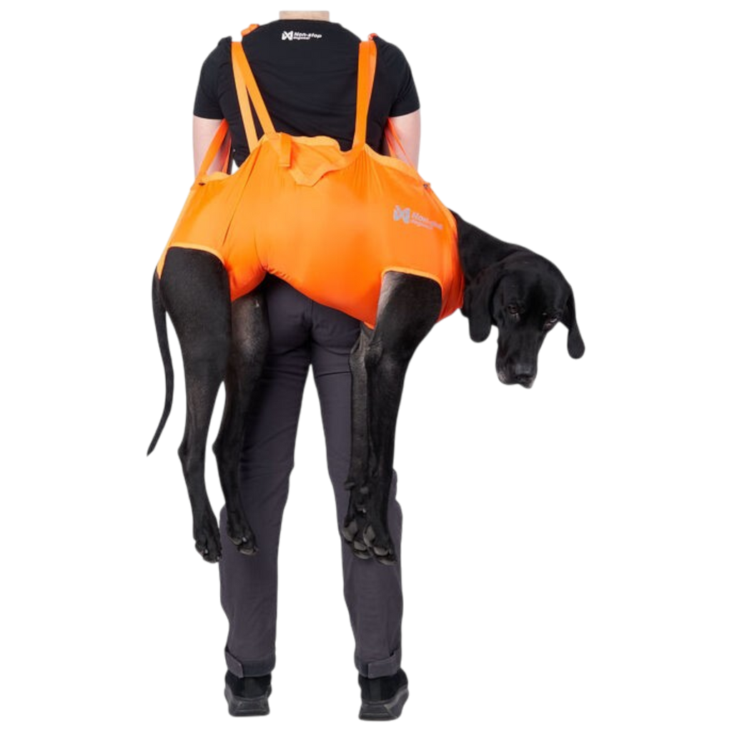 Person carrying a black dog in an orange Non-stop dogwear rescue sling - dog rescue sling