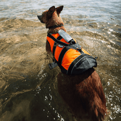 Non-stop dogwear Safe Life Jacket 2.0 - Life Jacket for Dogs