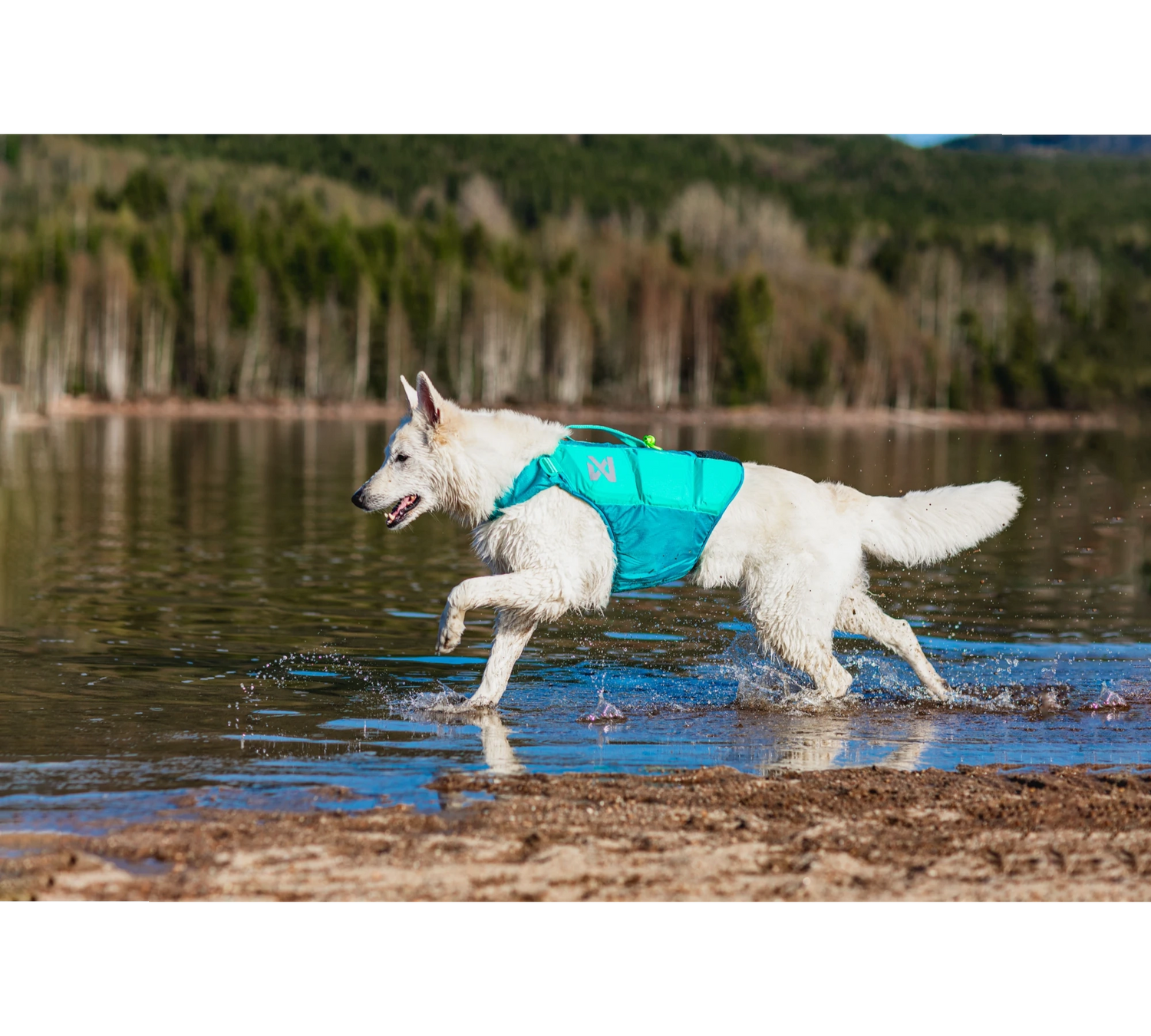 Non-stop dogwear Protector life jacket - Teal