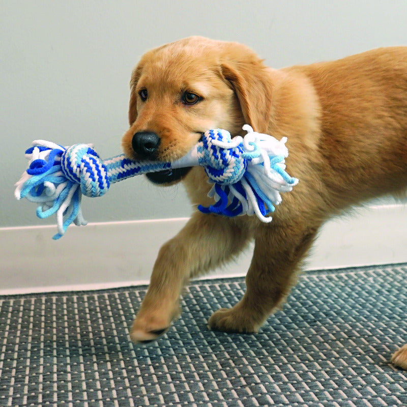KONG Rope Ring Puppy