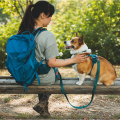 Ruffwear Front Range Flex Harness In Use