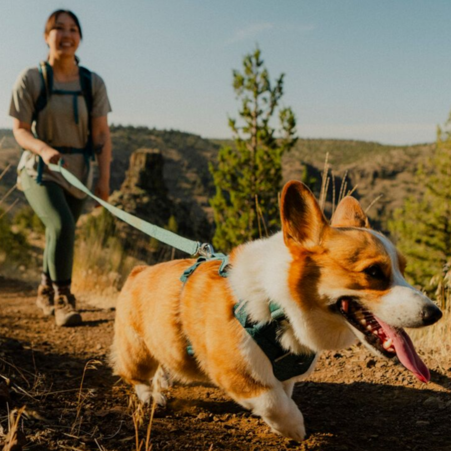 Ruffwear Front Range Flex Leash lifestyle image