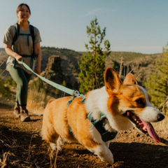 Ruffwear Front Range Flex Leash lifestyle image