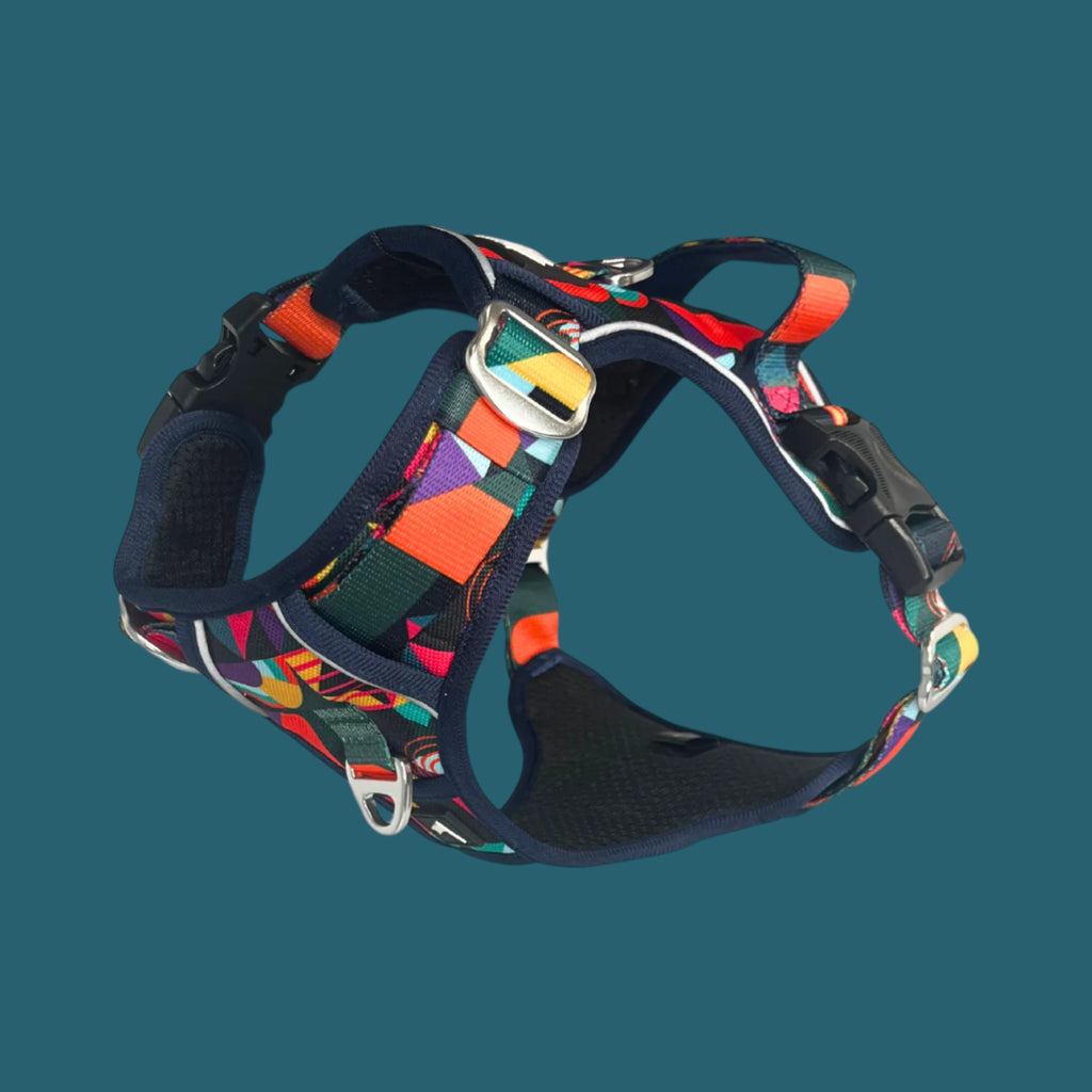 Twiggy Tags Aadventure Harness - Aurora