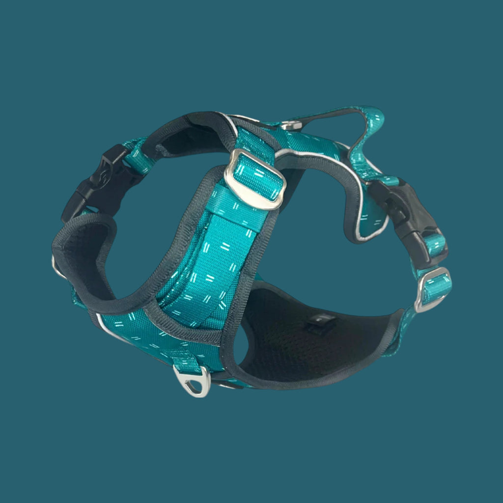Twiggy Tags Aadventure Harness - Tranquil