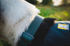 Close-up of Ruffwear Hi & Light™ Dog Collar on a dog outdoors, showcasing lightweight fit and reflective detailing for visibility.