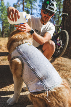 Ruffwear Swamp Cooler Zip™ Cooling Dog Vest Ruffwear