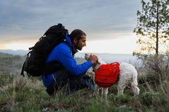 Ruffwear Palisades™ Dog Pack Ruffwear