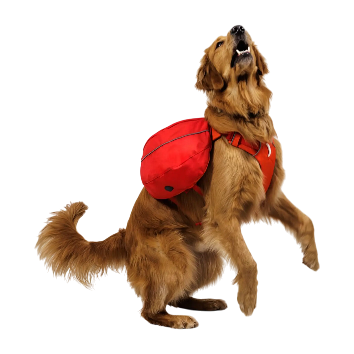 Ruffwear Palisades™ Dog Pack Ruffwear