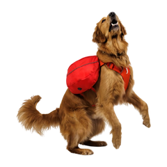 Ruffwear Palisades™ Dog Pack Ruffwear