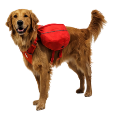 Ruffwear Palisades™ Dog Pack Ruffwear