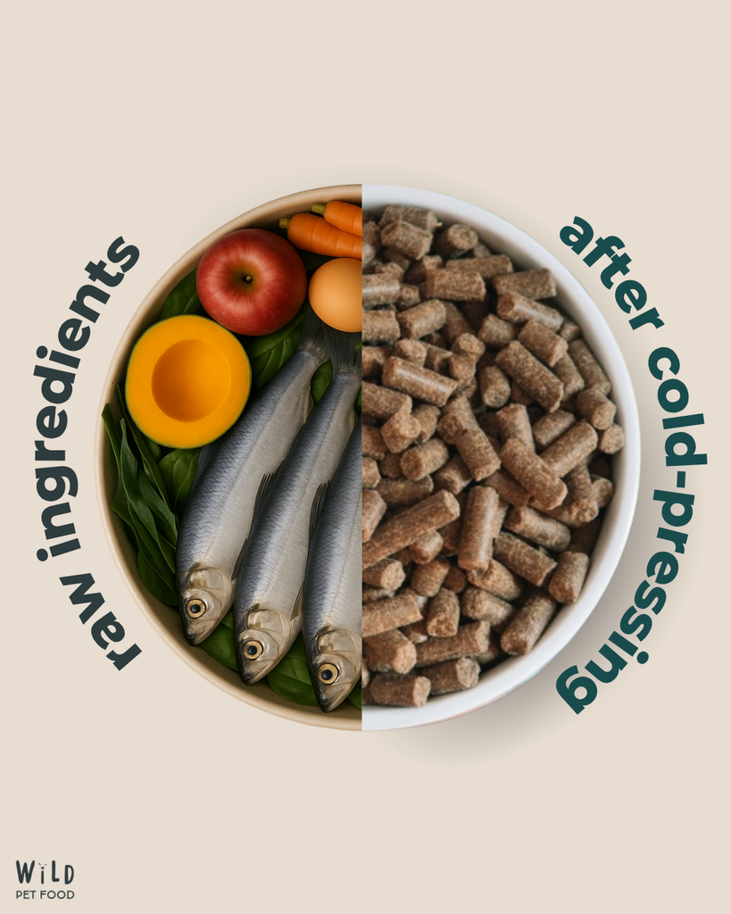 Wild Pet Food Herring 80:20 Cold-Pressed Complete Dog Food Comparison of raw ingredients and pet food pellets in a bowl with text indicating 'raw ingredients' and 'after cold-pressing'.