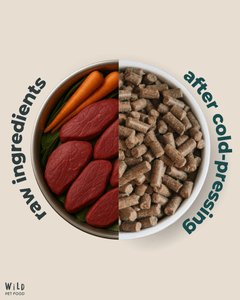 Visual comparison of raw ingredients and final cold-pressed kibble for Wild Pet Food Beef 80:20 Complete Dog Food, highlighting natural transformation.