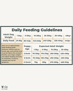 Daily feeding guidelines chart for Wild Pet Food Beef 80:20 Cold-Pressed Complete Dog Food, detailing portions by dog weight and age.